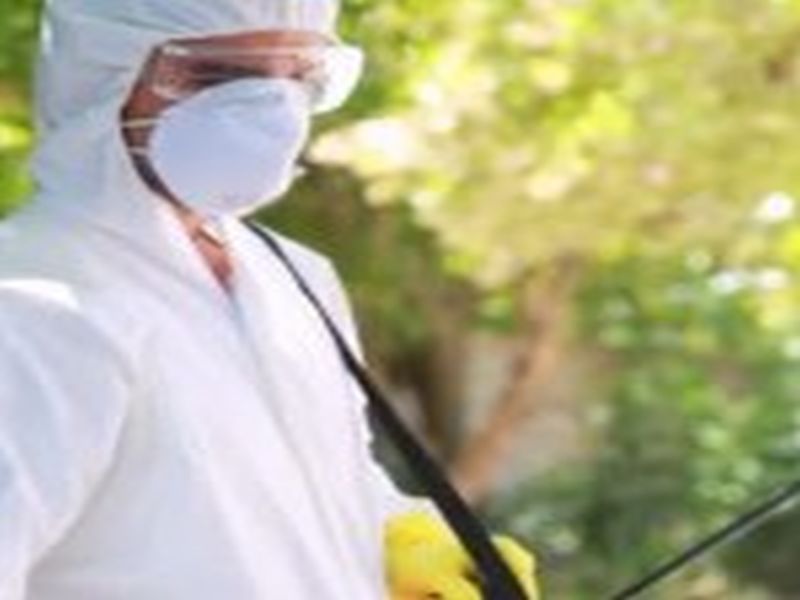 Sydney Pest Control: The Importance of Proper Sanitation in Pest Prevention
